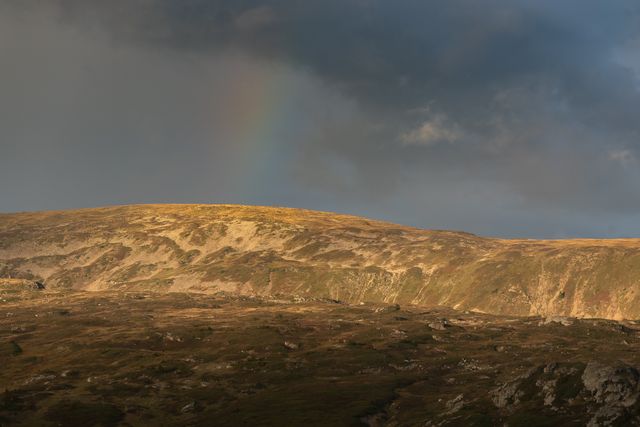 Un timide arc-en-ciel